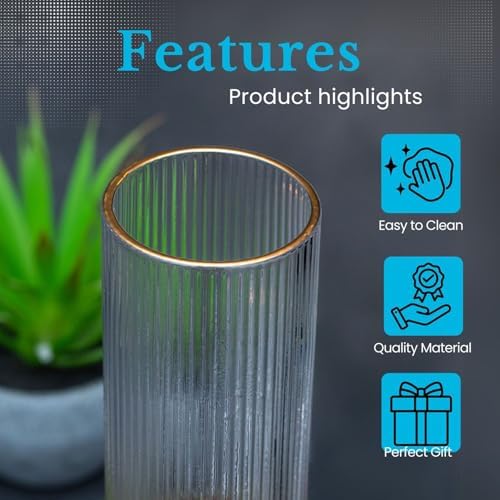 Intirilife: karafka 1,7 l + 4